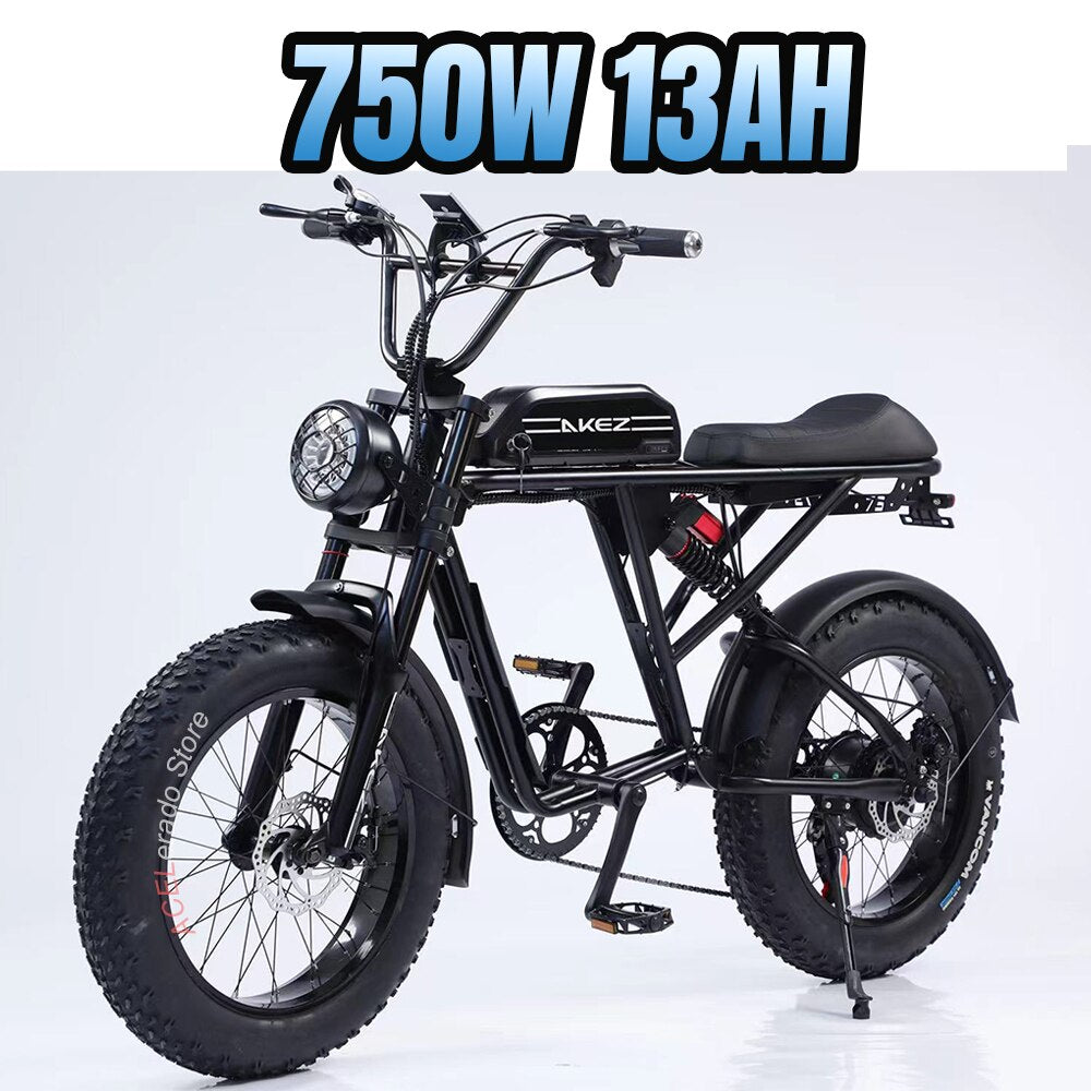 USA Stock Electric Bike for Adults 750W Electric Bicycle 48V 13Ah Dual Battery 20Inch Fat Tire EBike  All Terrain E Bike