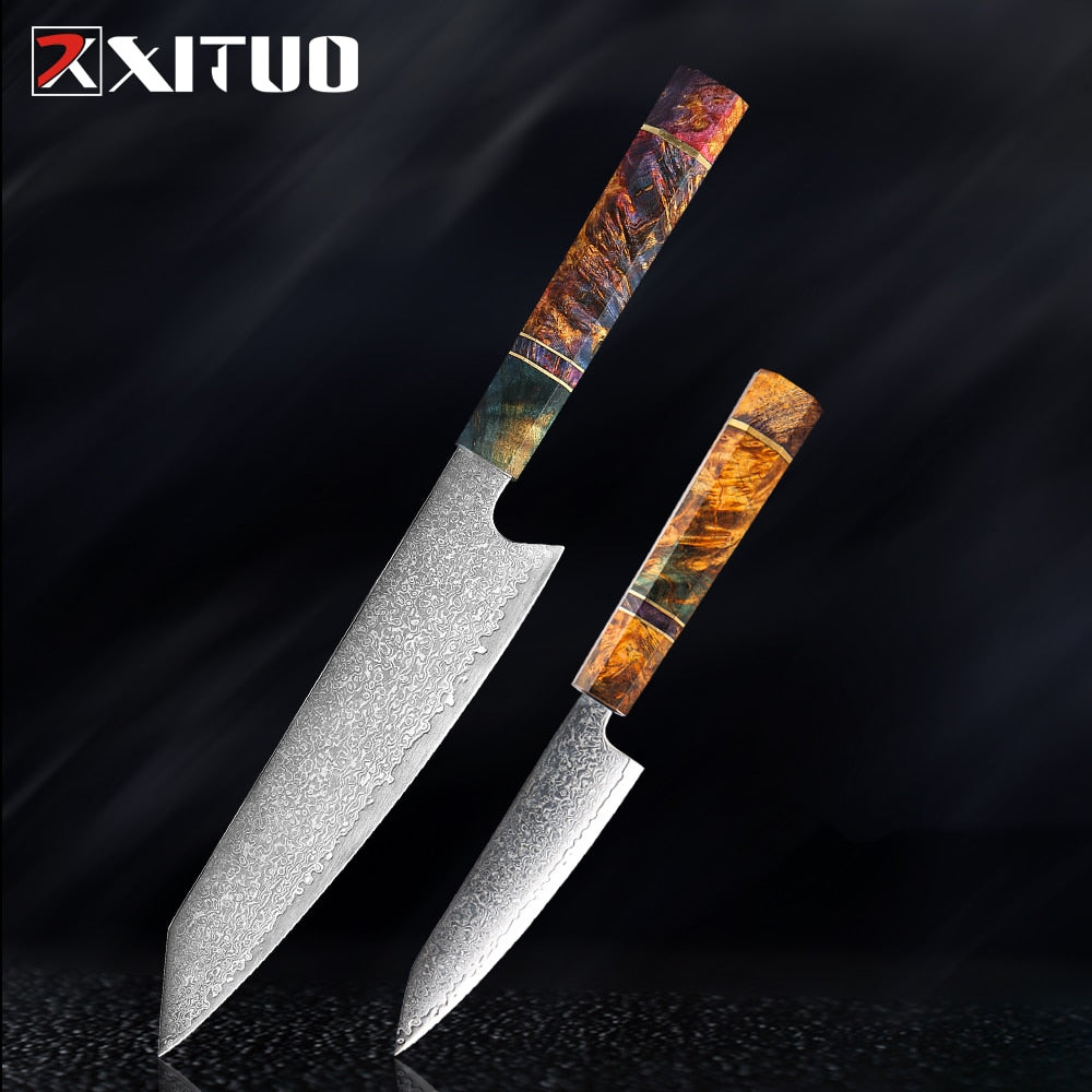 XITUO Damascus Kitchen Knife Set Chef Nakiri Knife 67 Layers Japanese Damascus Steel Chef Knife Razor Sharp Blade Colorful Wood