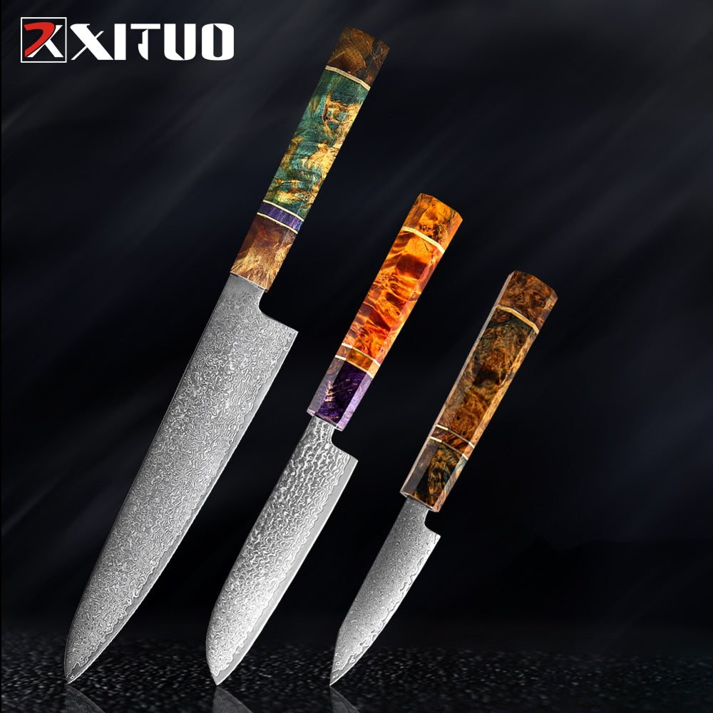 XITUO Damascus Kitchen Knife Set Chef Nakiri Knife 67 Layers Japanese Damascus Steel Chef Knife Razor Sharp Blade Colorful Wood