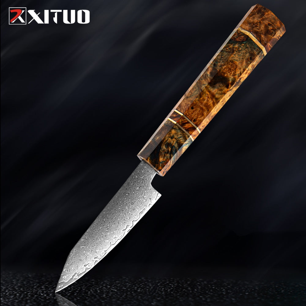 XITUO Damascus Kitchen Knife Set Chef Nakiri Knife 67 Layers Japanese Damascus Steel Chef Knife Razor Sharp Blade Colorful Wood