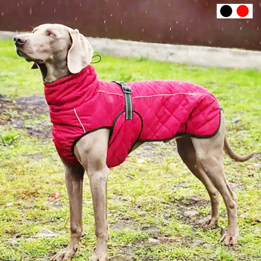 Dog Outdoor Jacket Waterproof Reflective Pet Coat Vest Winter Warm Cotton Dogs Clothing for Large Middle Dogs  Labrador